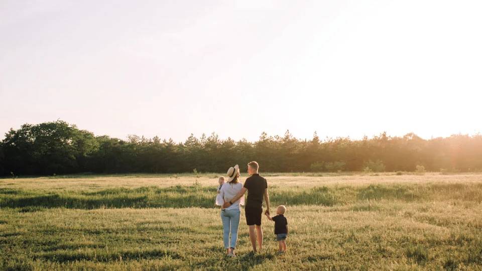 Izolacje Szadek - Purillo